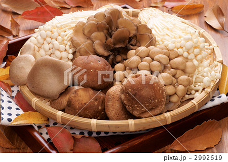 秋のきのこ集合 2992619