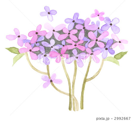 抽象の花　紫色 2992667