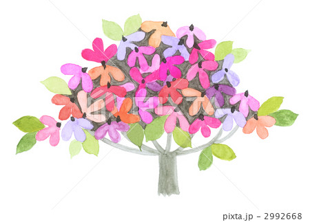 抽象の花木　暖色　桃色 2992668