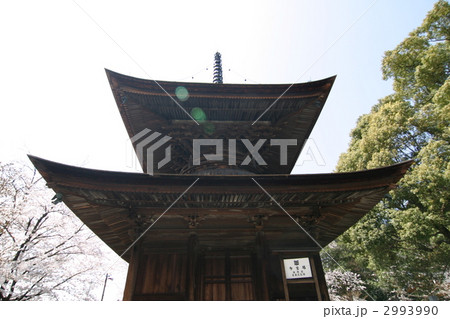 密蔵院多宝塔 2993990