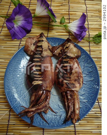 焼きいか 焼きいか 2994102