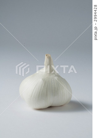 ガーリック にんにく ネギ科の写真素材