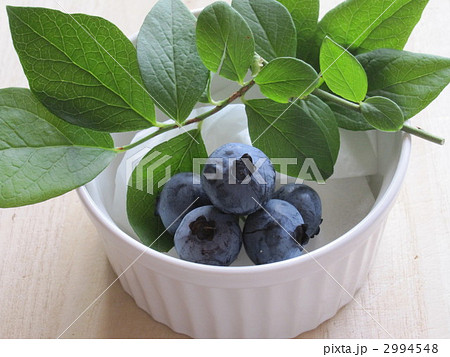 おおつぶ星 実 ココット おおつぶ星 実 ココット 2994548