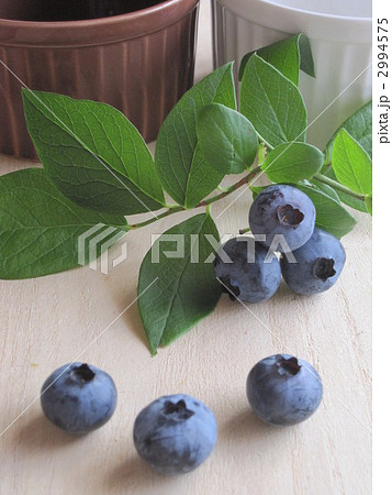 おおつぶ星 実 ココット おおつぶ星 実 ココット 2994575