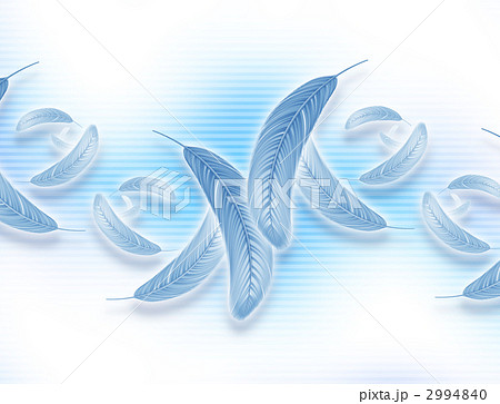 舞うはね 2994840