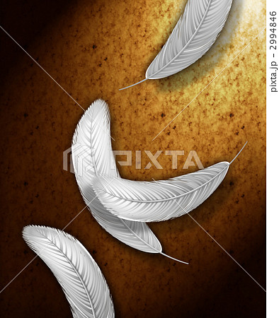 鳥の羽 フェザー 白い羽のイラスト素材