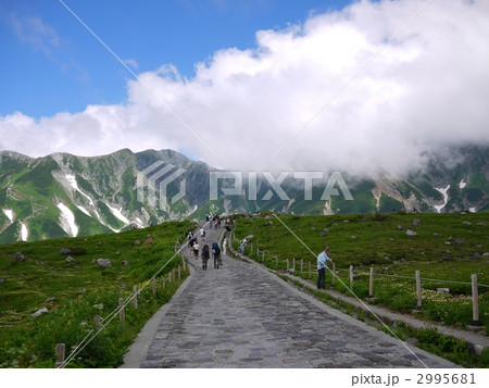 室堂 室堂 2995681