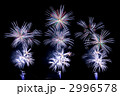 豊田おいでんまつり花火大会 2996578
