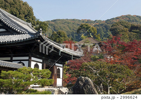 秋の高台寺 開山堂 秋の高台寺 開山堂 2996624