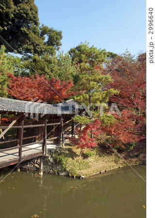 秋の高台寺 臥龍廊 秋の高台寺 臥龍廊 2996640
