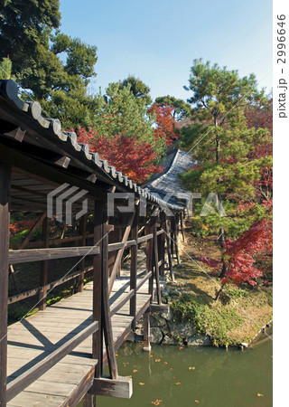 秋の高台寺 臥龍廊 秋の高台寺 臥龍廊 2996646