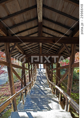 秋の高台寺　臥龍廊 2996648