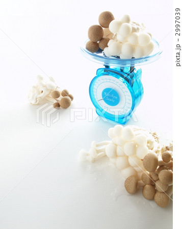 ヘルシースケール 2997039