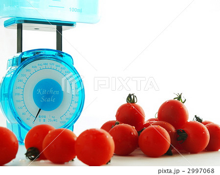ヘルシースケール 2997068