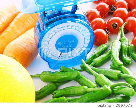 ヘルシースケール 2997075