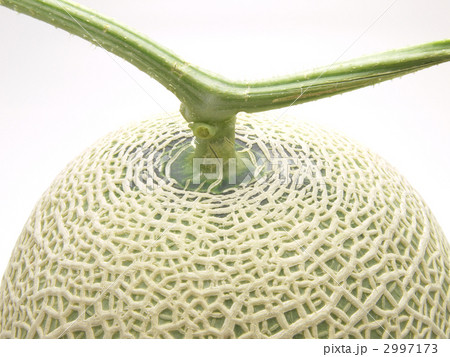 マスクメロン マスクメロン 2997173