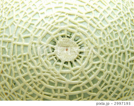 マスクメロン 2997193