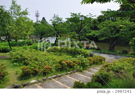 鶴岡散歩・鶴岡公園 鶴ヶ岡城址 鶴岡散歩・鶴岡公園 鶴ヶ岡城址 2997241