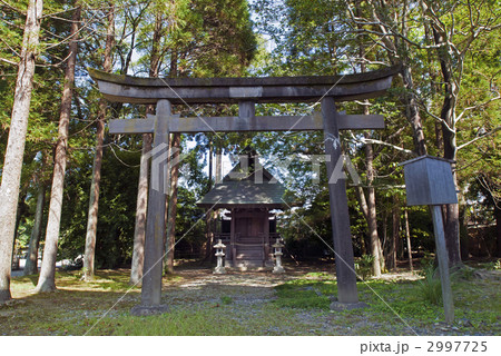 清涼寺　愛宕権現社 2997725