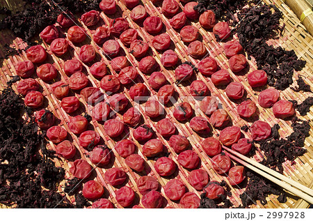 土用の梅干し 2997928