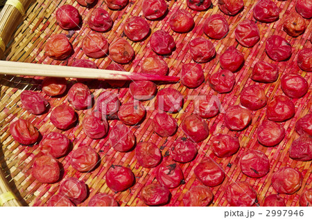 土用の梅干し 2997946