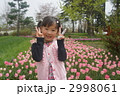 ピンクのチューリップ畑の前でピースする女の子 2998061