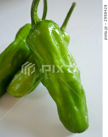 ししとう2 ししとう2 2998428