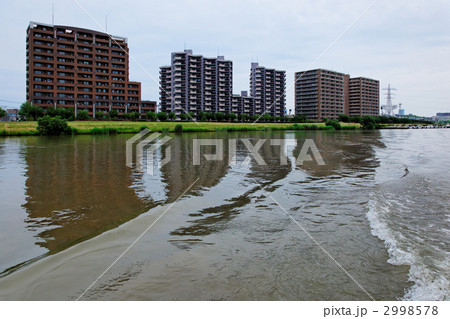 雨上がりの信濃川と水辺の住宅街 雨上がりの信濃川と水辺の住宅街 2998578
