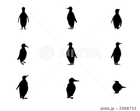 美しい花の画像 無料印刷可能ペンギン イラスト 無料 白黒