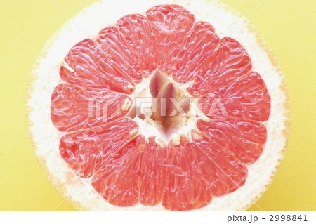 レッドグレープフルーツ レッドグレープフルーツ 2998841