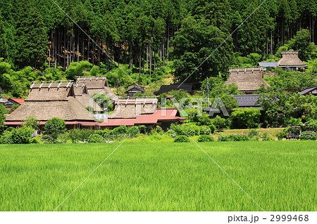 初夏の京都美山茅葺の里 2999468