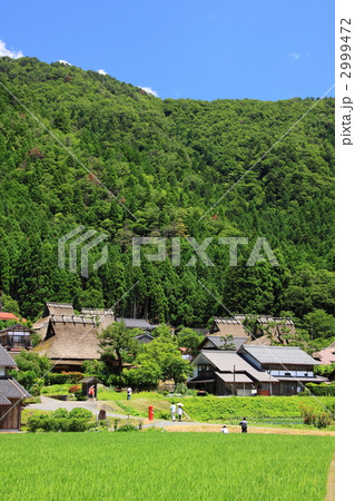 初夏の美山茅葺の里 2999472