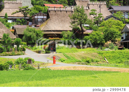 初夏の美山茅葺の里 初夏の美山茅葺の里 2999478