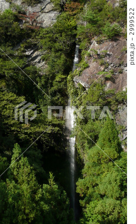次の滝　縦方向　遠望 2999522
