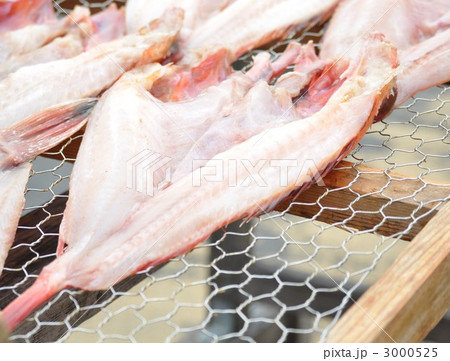 トビウオの朝干し 3000525