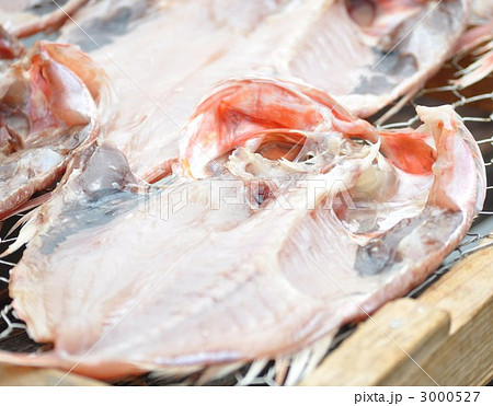 エボダイの朝干し 3000527