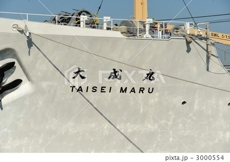 大成丸 3000554
