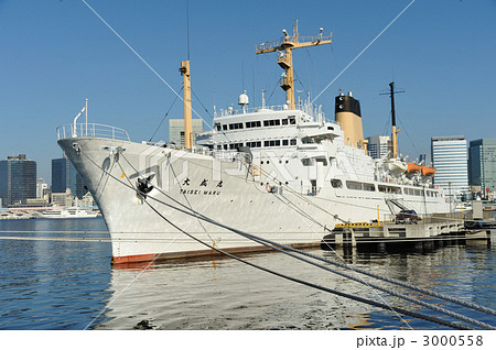 大成丸 大成丸 3000558