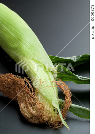 とうもろこし 3000875