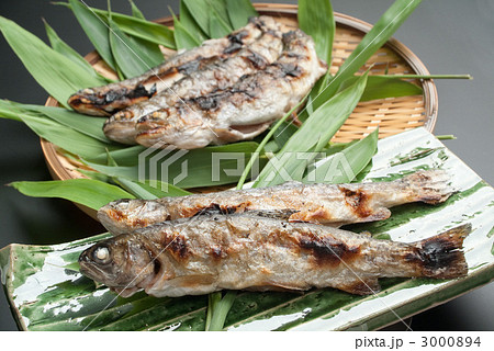 焼アユ 3000894