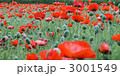 3001549