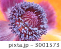 3001573