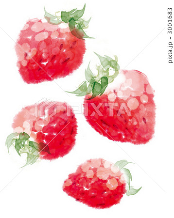 みずみずしい苺 水彩画風 のイラスト素材