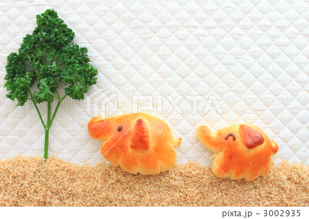 パン 動物パン ぞう パン 動物パン ぞう 3002935