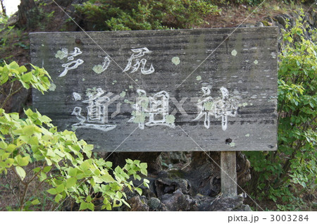 夏の芦ノ尻道祖神 夏の芦ノ尻道祖神 3003284