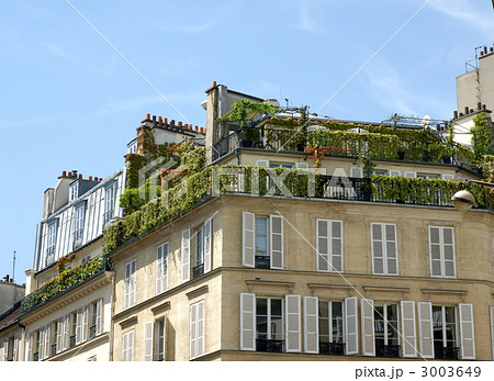 屋上緑化 3003649