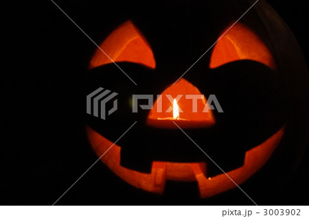 ハロウィン 3003902