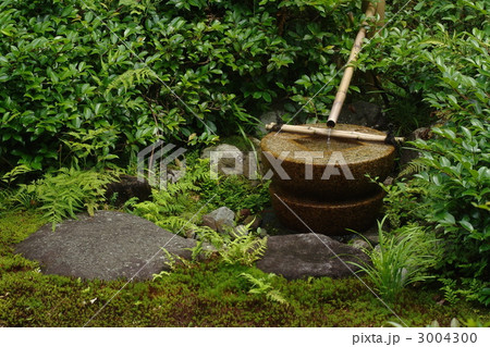 7月　茶庭・つくばい・手水鉢16茶庭 3004300