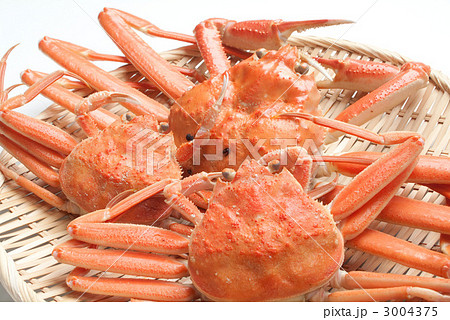 ズワイガニのメス ズワイガニのメス 3004375