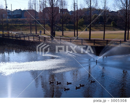 朝の公園 3005308